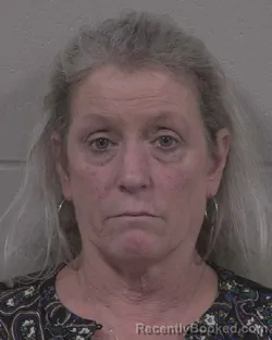 Mugshot of Kimberly Sue Fairchild booked in Branch County, Michigan on July 31, 2026