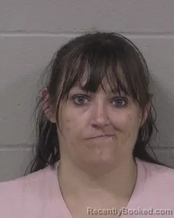 Mugshot of Taylor Ann Malone booked in Branch County, Michigan on August 29, 2026