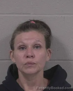 Mugshot of Brandy Aletha Thompson booked in Branch County, Michigan on July 30, 2026