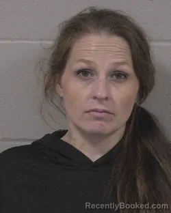Mugshot of HOLLY BETH VASQUEZ-GUZMAN booked in Branch County, Michigan on May 21, 2026