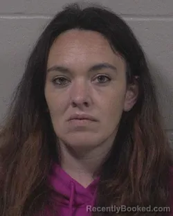 Mugshot of Ashley Nicole Hess booked in Branch County, Michigan on September 25, 2026