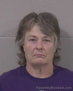 Mugshot of Lou Ann Payne booked in Branch County, Michigan on September 24, 2026