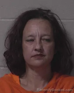 Mugshot of JENNIFER MAE BEEMER booked in Branch County, Michigan on July 21, 2026