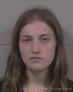 Mugshot of DESIREE LYNN COLLINS booked in Branch County, Michigan on April 28, 2026