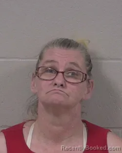 Mugshot of CHRISTINA MARIE WATSON booked in Branch County, Michigan on April 23, 2026