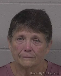 Mugshot of Julie Ann Gibson booked in Branch County, Michigan on July 31, 2026