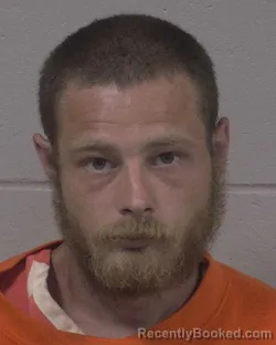 Mugshot of MICHAEL PAUL YOUNG booked in Branch County, Michigan on June 11, 2026