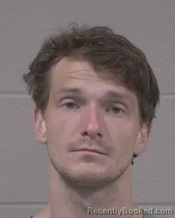 Mugshot of DARION MICHAEL NELSON booked in Branch County, Michigan on June 12, 2026
