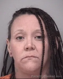 Mugshot of AMBER NICOLE ELLIS booked in Calhoun County, Michigan on June 15, 2026