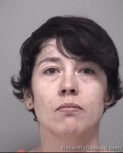 Mugshot of ALEXANDRIA ANN RIGGS booked in Calhoun County, Michigan on March 20, 2026