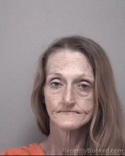 Mugshot of AMANDA KAY SHEEHY booked in Calhoun County, Michigan on April 2, 2026