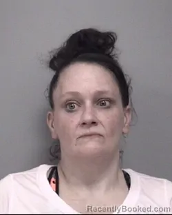 Mugshot of AMY LYN WOOD booked in Calhoun County, Michigan on March 30, 2026