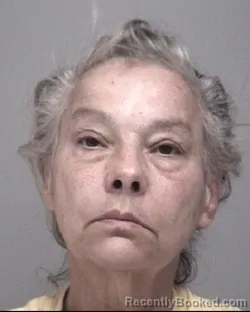 Mugshot of BRENDA LEE HANDLOSER booked in Calhoun County, Michigan on July 20, 2026