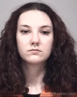 Mugshot of BROOKE RENEA RODGERSON booked in Calhoun County, Michigan on May 17, 2026
