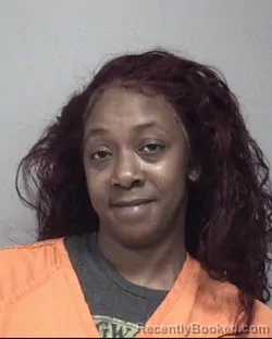 Mugshot of CHAQUITA LYNNAE KINNEY booked in Calhoun County, Michigan on July 13, 2026