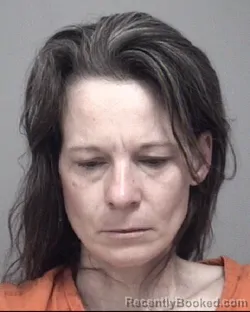 Mugshot of CANDICE DANYELL MYERS booked in Calhoun County, Michigan on March 28, 2026