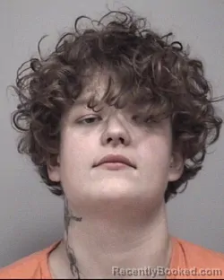 Mugshot of CHRISTIAN BRYCE VANVLEET