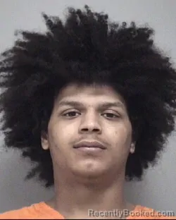 Booking photo from Calhoun County, Michigan