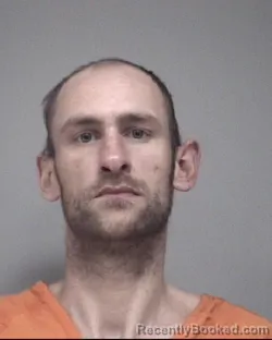 Mugshot of DAVID LEE BRAUER