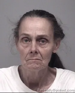 Mugshot of DELBERTA LOUISE BELT booked in Calhoun County, Michigan on March 30, 2026