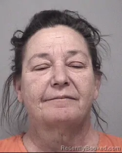 Mugshot of DAWN SCHULTZ
