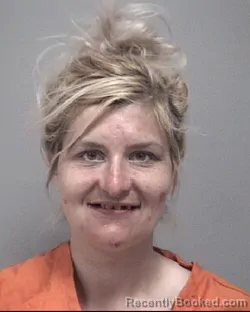 Mugshot of Danielle Autumn Stetler booked in Calhoun County, Michigan on August 23, 2026