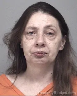 Mugshot of DANA JEAN VOGEL booked in Calhoun County, Michigan on June 26, 2026