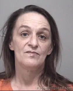 Mugshot of DENISE COLLEEN WOLF