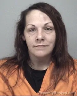 Mugshot of DAWN MARIE WILKINSON booked in Calhoun County, Michigan on March 31, 2026