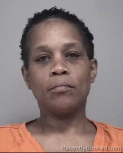 Mugshot of ERICA DECOLD PETERSON booked in Calhoun County, Michigan on June 11, 2026