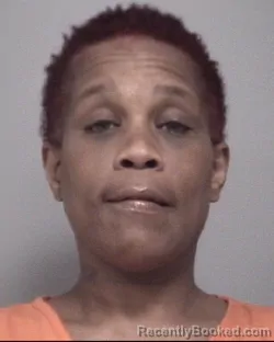 Mugshot of ERICA DECOLD PETERSON booked in Calhoun County, Michigan on July 21, 2026
