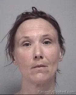 Mugshot of ERICA MARGOT PAGE booked in Calhoun County, Michigan on March 30, 2026