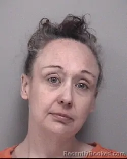 Mugshot of ERIN HEATHER UPCHURCH