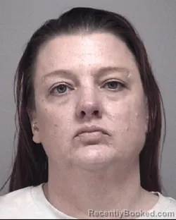 Mugshot of ERIN ASHLEY WALLACE booked in Calhoun County, Michigan on July 21, 2026