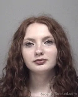 Mugshot of Hailey Grace Miller booked in Calhoun County, Michigan on October 24, 2026