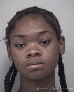 Booking photo from Calhoun County, Michigan