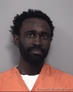 Mugshot of JEWELL DECHONE LOVE