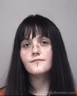 Mugshot of JADA KAY WINES booked in Calhoun County, Michigan on March 27, 2026