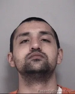 Mugshot of JASON MICHAEL WOOD