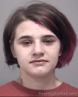 Mugshot of KIERSTIEN STACEY GILBERT booked in Calhoun County, Michigan on March 10, 2026