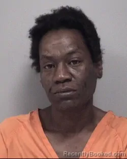 Mugshot of KIM MARIE LEWIS