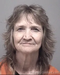 Mugshot of Katherine Elizabeth Schram booked in Calhoun County, Michigan on August 17, 2026