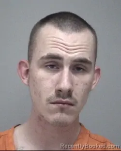 Mugshot of LEE EARL BRIZENDINE booked in Calhoun County, Michigan on March 12, 2026