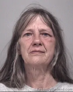 Mugshot of LORI ANN CARPENTER booked in Calhoun County, Michigan on July 18, 2026