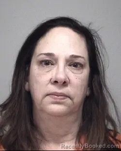 Mugshot of LISA FAY CARR