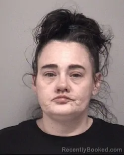 Mugshot of Lindsay Renee Gamble booked in Calhoun County, Michigan on August 14, 2026