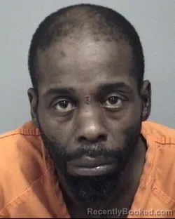 Mugshot of LEROY JR WILLIAMS
