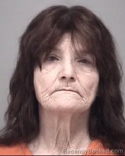 Mugshot of MELISSA ANN DOWELL booked in Calhoun County, Michigan on July 3, 2026