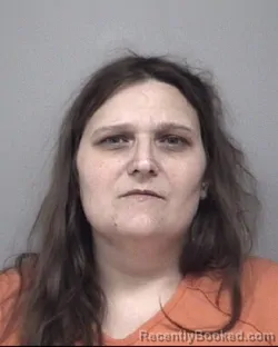 Mugshot of MICHELLE LYNN LARSEN booked in Calhoun County, Michigan on June 3, 2026