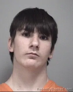 Booking photo from Calhoun County, Michigan